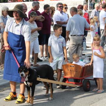 Švicarski planšar obuja spomine na vožnjo mleka